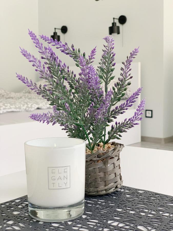 Apartament Chyba Snisz Łańcut المظهر الخارجي الصورة